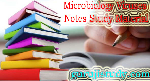 BSc 2nd Year Microbiology Viruses Notes Study Material 